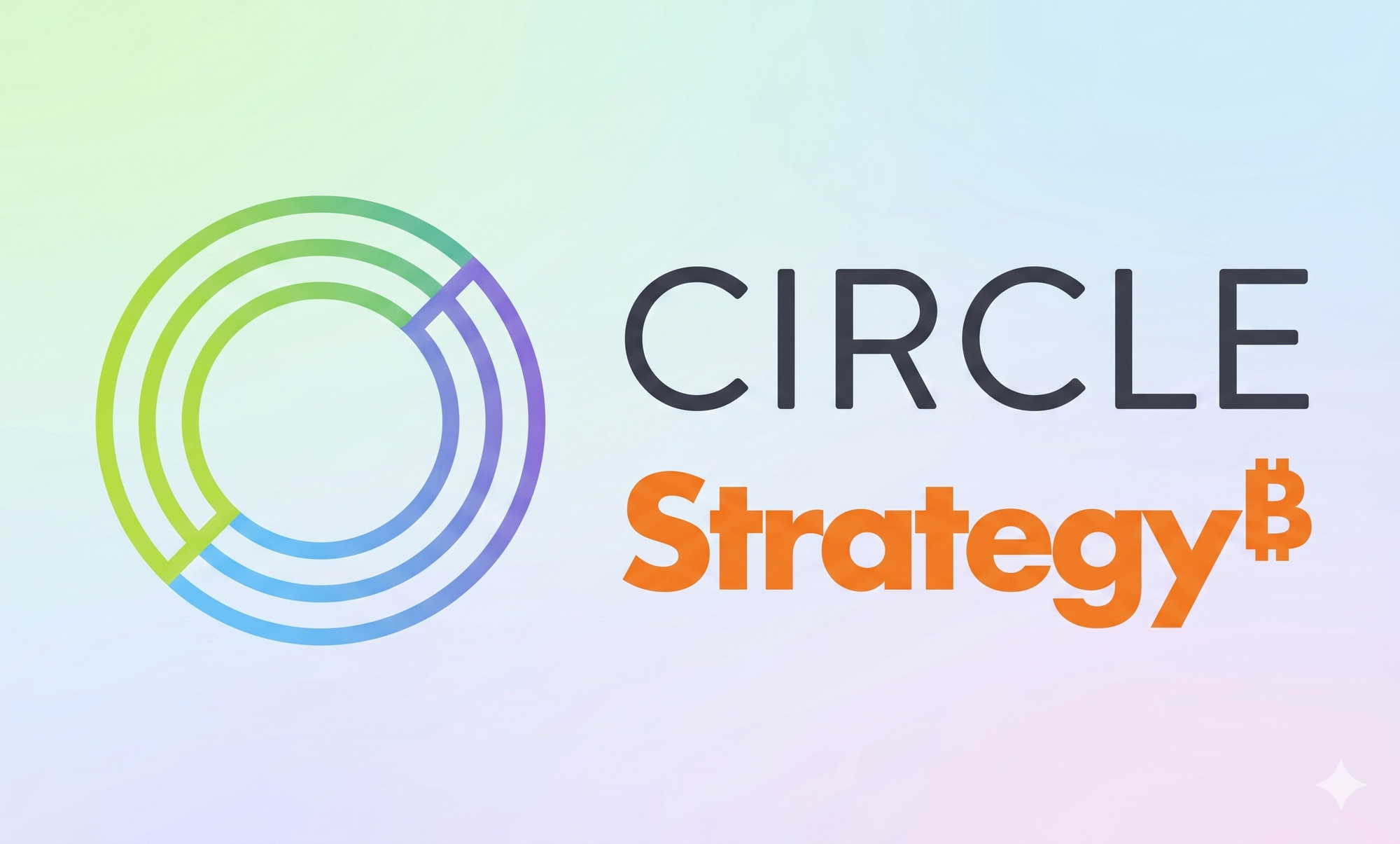 Strategy’s Potential BTC Sell-Off or Circle’s Stablecoin Takeover: Will Crypto Fly or Tank?