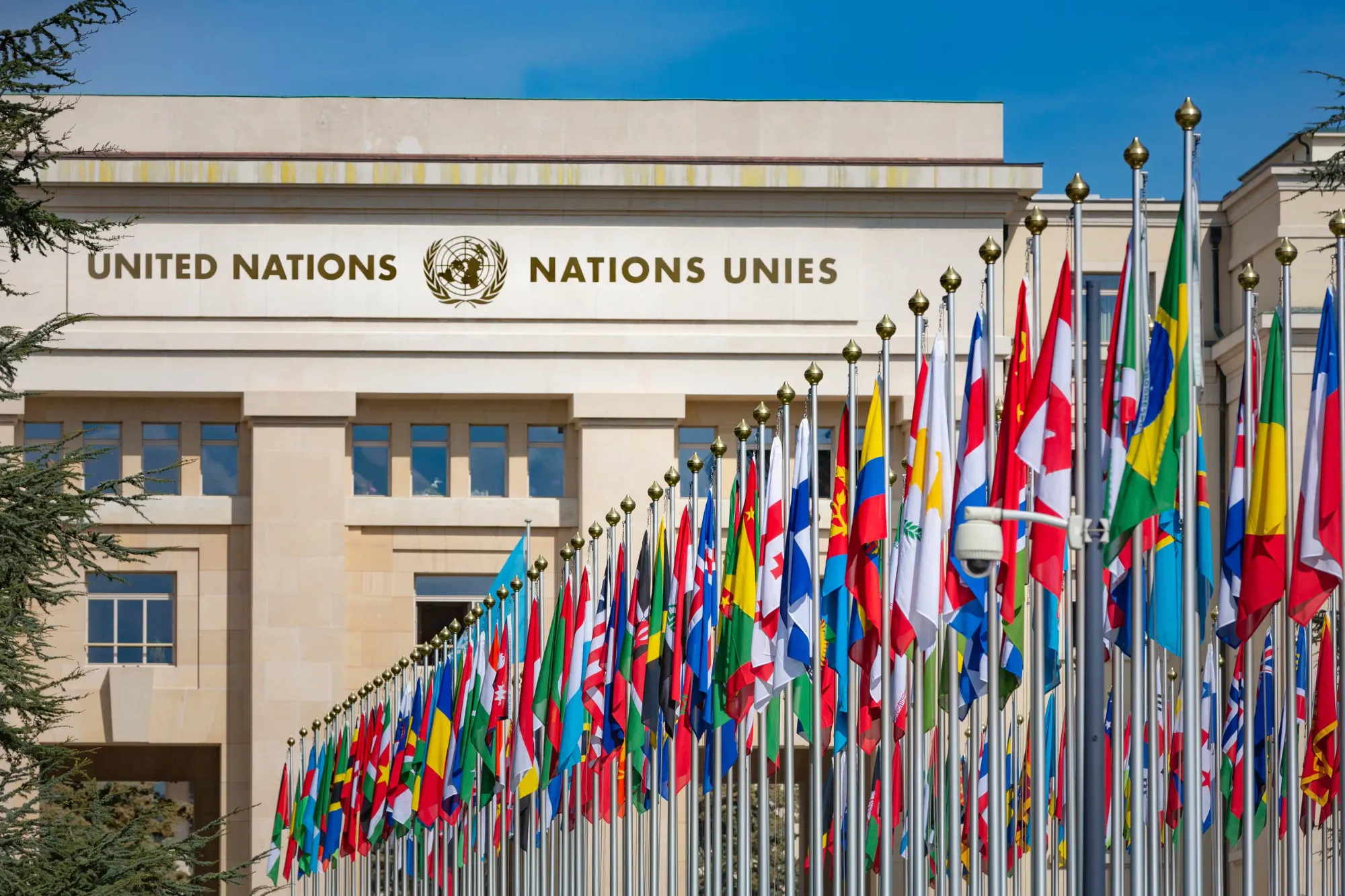 UN Secretary-General Race: Grossi Leads, Grynspan Becomes the Most Obvious Repricing Candidate