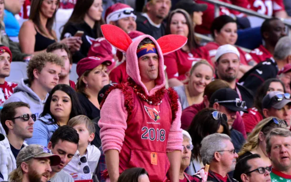Which NFL fanbase is the craziest?