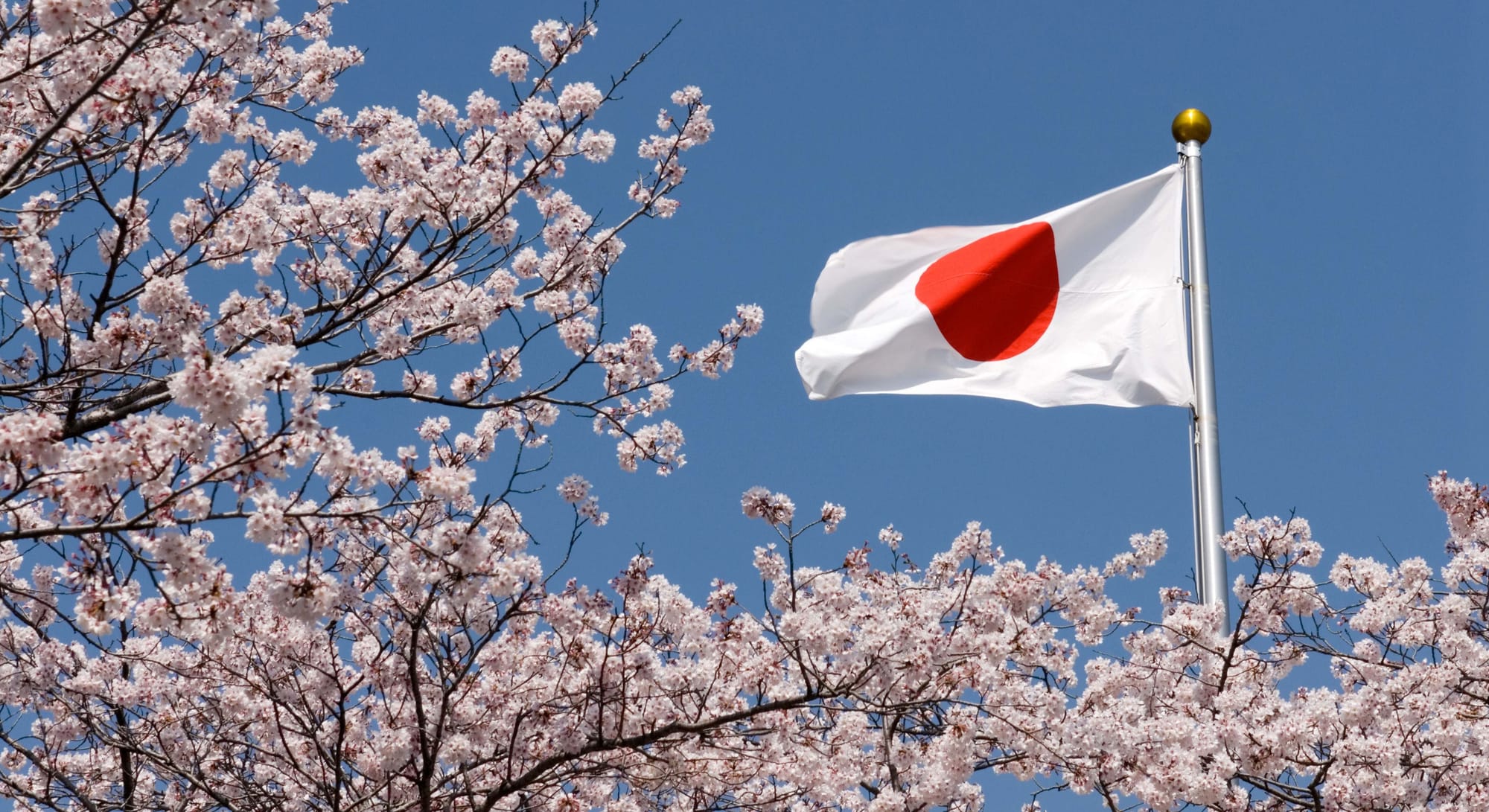 In Japan, A New Type of Prediction Market is Taking Advantages of the Loophole in Gambling Regulations